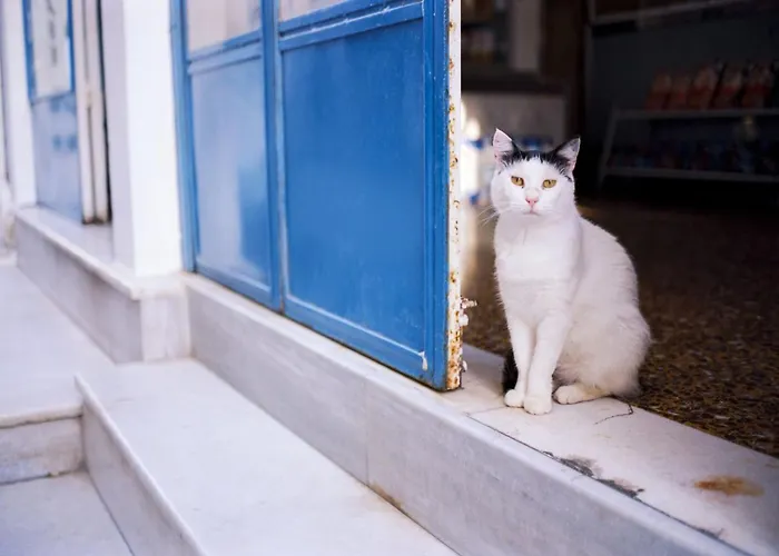 Luxurious Santorini Penthouse 1 Bedroom Magical Caldera Sea Views Тира